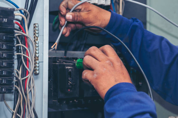 Best Electric Panel Repair  in Carencro, LA